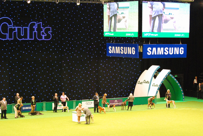 Crufts 2012