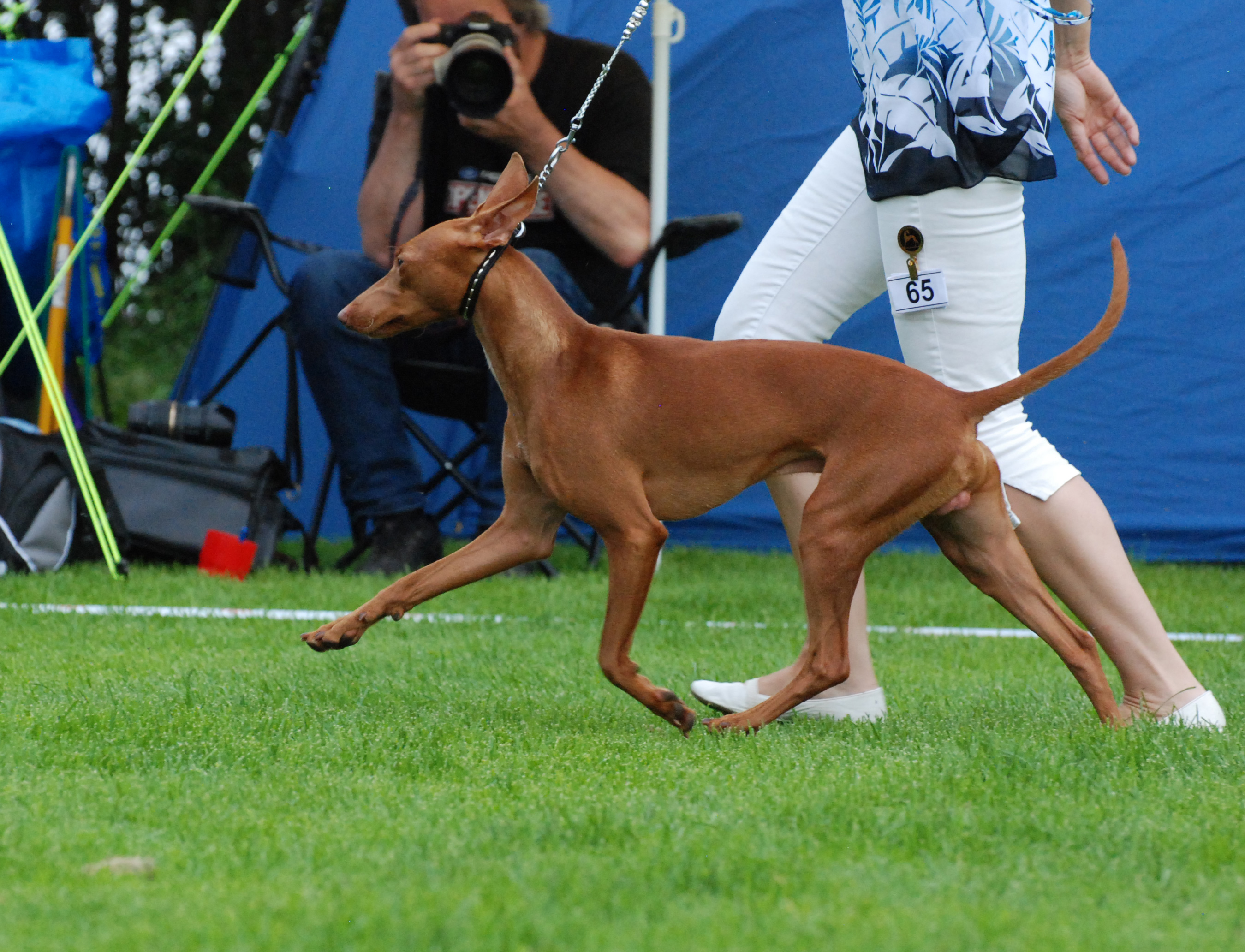 Svenstavik INT and Sighthound Specialty 13-08-03