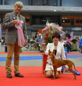 Tesla BIS-1 Puppy in Lidköping INT. Judge: Leif Ragnar Hjort